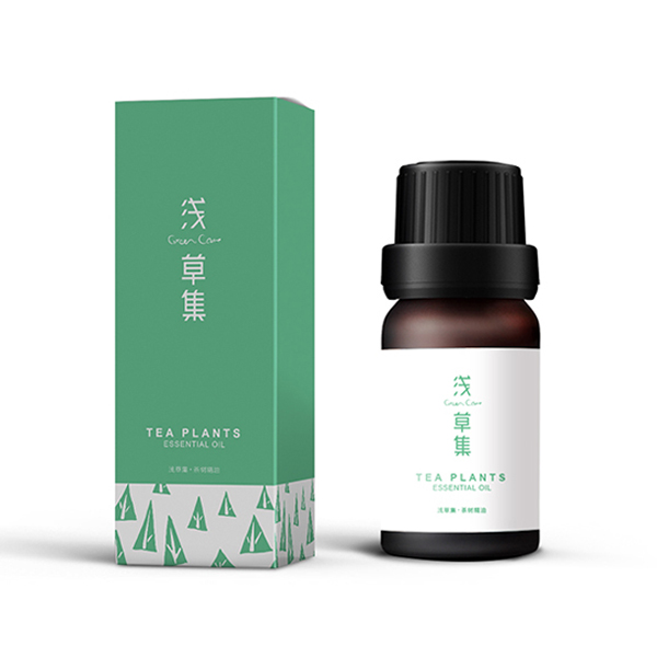 森林早晨杉树林空气精华露